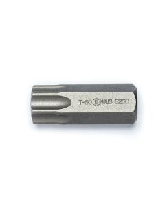 12mm Hex Shank T-60 Star Screwdriver Bit - 36mm Length